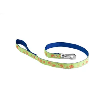 Comparateur de prix : Laisse pour chien Martin Sellier M Vert 25 mm 3006816