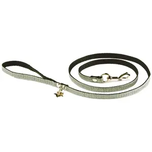 Laisse pour chien Martin Sellier XS Vert 10 mm 3008735 pas cher