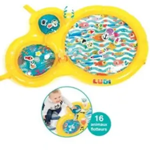 Comparateur de prix : LUDI - MAXI TAPIS D'EAU
