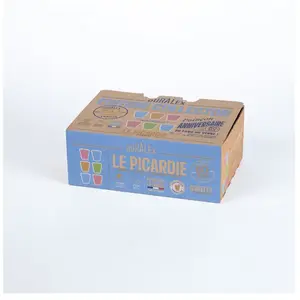 Duralex PICARDIE MULTICOLOR GOBELET 25 CL X6 pas cher