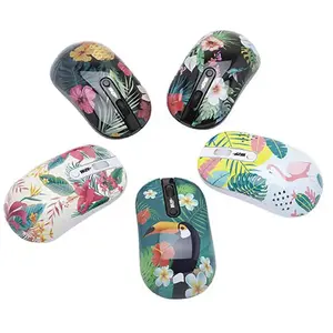 Souris Sans Fil Apm 5 Designs Panaches (choix Du Coloris Uniquement En Magasin)Vendu parelectro-depot