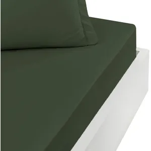 Sensei Maison Drap housse en percale bonnet 40cm Eucalyptus 80x200 cm pas cher