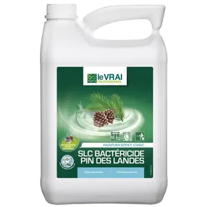 Action Pin - Le vrai - slc bactericide odorisant concentrÉ parfum pin ... pas cher