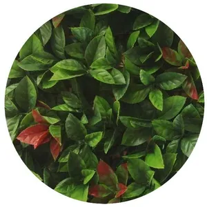 Comparateur de prix : JET7GARDEN - Plaques clipsables de feuillage artificiel 3m² (Lot de 12) Red Robin