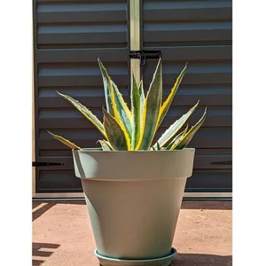 Comparateur de prix : Riviera - Bac à fleurs rond SOLEILLA - Plastique Ø 50 cm - Vert argile