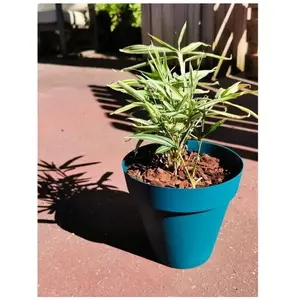 Bac à fleurs rond RIVIERA SOLEILLA - Plastique - Diamètre 60 cm - Bleu pas cher
