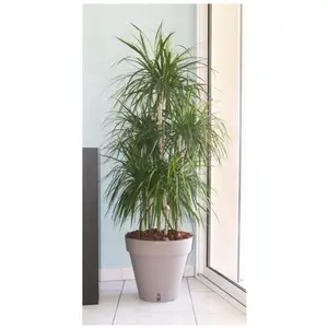 Comparateur de prix : RIVIERA Pot de fleurs Loft avec réserve d'eau - Rond - Ø 50 x H 46 cm -Taupe