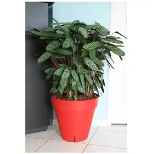 Comparateur de prix : RIVIERA Pot de fleurs Loft avec réserve d'eau - Rond - Ø 50 x H 46 cm - Rouge
