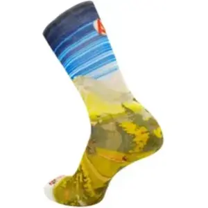 Comparateur de prix : Paire de chaussettes esprit montagne Rywan No Limit Graphik 38/40