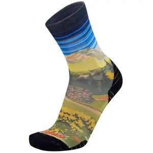 Comparateur de prix : Rywan No Limit Walk Graphik Chaussettes Bleu 38/40