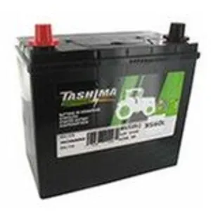 Batterie plomb TASHIMA Pb Ca/Ca, sans entretien, pour tondeuse autopor... pas cher