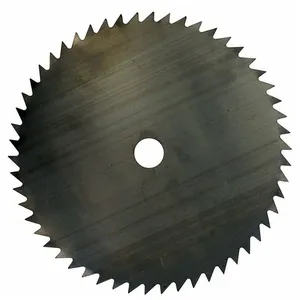 Greenstar Lame 80 dents adaptable pour débroussailleuse - Coupe de 250mm, alésage: 25,4mm, épaisseur: 1,6mmVendu paramazon