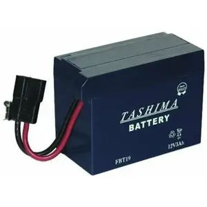 Batterie motoculture FBT19 12V 3Ah-Tashima pas cher