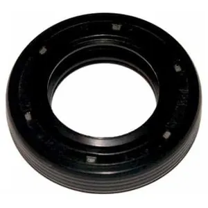 OEM Joint spi BRIGGS et STRATTON 299819S pas cher