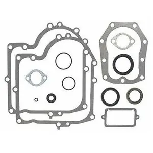 OEM Joints moteur BRIGGS ET STRATTON 490525 - 494241 pas cher