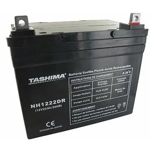 Greenstar 11381 Batterie étanche/droite NH1222DR pas cher