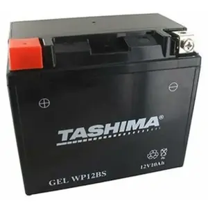 TASHIMA Greenstar 11519 Batterie gel WP12BS pas cher