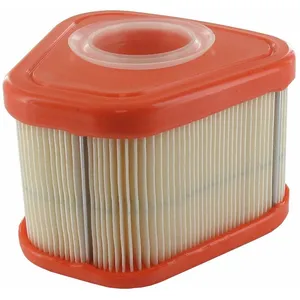 OEM Filtre à air BRIGGS ET STRATTON 597265 pas cher