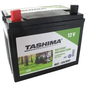 Comparateur de prix : GREENSTAR Batterie pour tondeuse autoportée.