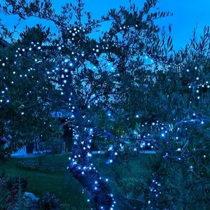Blachere Illumination guirlande solaire led - 40m pas cher