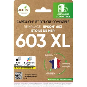 Pack De Cartouches D'encre 603 Xl Noir + Couleurs - Compatible Epson J...Vendu parcarrefour
