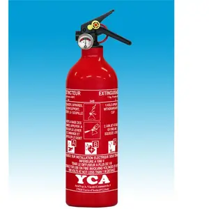 ANAF Extincteur à poudre ABC NF avec manomètre 1 Kg