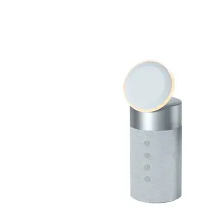 Comparateur de prix : Enceinte Bluetooth 2 en 1 avec Chargeur MagSafe FORCE PLAY