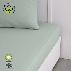 TODAY Drap housse 2 personnes uni coton grand bonnet  160x200 cm