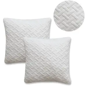 Comparateur de prix : TODAY Lot de 2 oreillers à mémoire de forme 60x60 cm