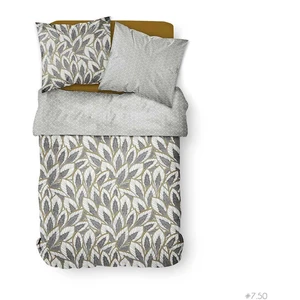 Today Parure de lit  2 personnes Coton 57 Fils Imprimé Alan Cercle pas cher