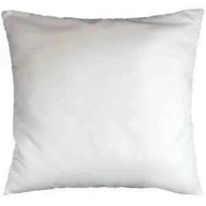 Douceur d'Intérieur oreiller 60 x 60 cm polyester uni anti acarien premium