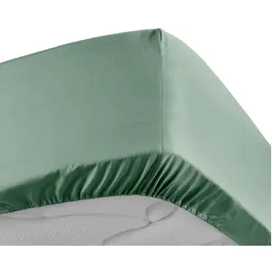 Comparateur de prix : DOUCEUR D'INTERIEUR Drap housse - Percale - 78 fils - 180 x 200 cm - Uni - Tilleul