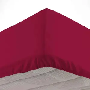 Douceur d'Intérieur Drap housse Biolina en coton biologique bordeaux bonnet 30 cm 90x190