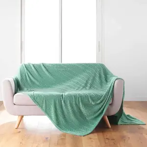 Douceur d'Intérieur, Plaid (180 x 220 cm) Arya Sauge, Flanelle Relief pas cher