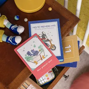 Cartes Mes 12 premiers mois Puce & Pilou Moulin Roty pas cher