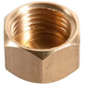 Bouchon laiton à visser - F 1'1/2 - 300G - ThermadorVendu paramazon