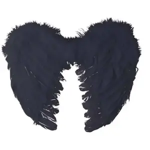 Comparateur de prix : Ailes d'ange en plumes 40 x 32 cm, noir FETE-91122