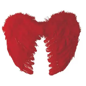 Comparateur de prix : WIDMANN Ailes d'ange en plumes 40 x 32 cm, rouge FETE-91123