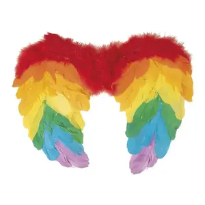 Comparateur de prix : Ailes d'ange en plumes 40 x 32 cm, multicolores