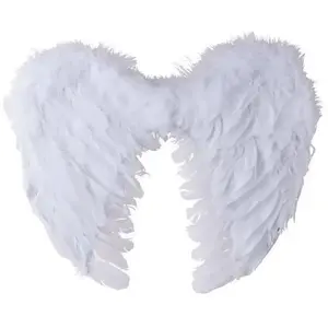 Comparateur de prix : Ailes d'ange en plumes 40 x 32 cm, blanc FETE-91121