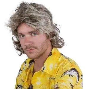 Comparateur de prix : Perruque - PTIT CLOWN - Châtain à mèches blondes - Homme - Carnaval