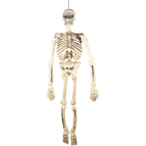 Comparateur de prix : PTIT CLOWN Décoration Halloween avec grand squelette à suspendre de 150 cm (x1) REF/60067