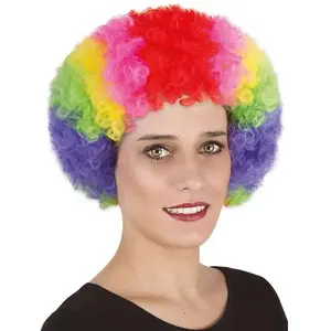 Perruque pop multicolore