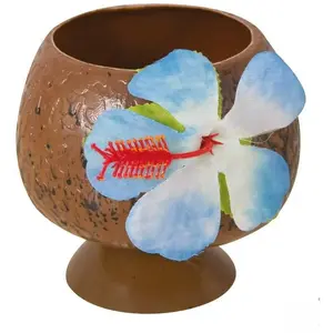 Comparateur de prix : Gobelet noix de coco en plastique avec fleur sur Pied