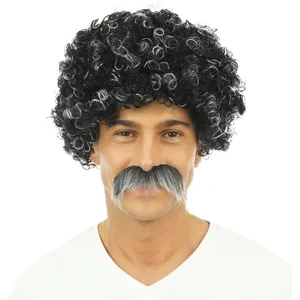 Comparateur de prix : P'tit Clown Perruque et moustache LUCIEN - courte frisée - grise pour adulte - Déguisement