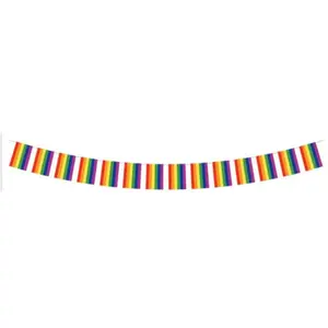 RueDeLaFete Guirlande Pride arc-en-ciel 5m pas cher