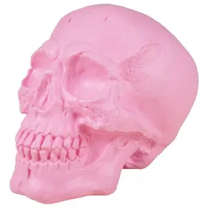 Comparateur de prix : crâne décoratif plastique 18cm rose - générique 23533