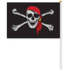 Comparateur de prix : Drapeau de Pirate 30 x 45 cm avec manche