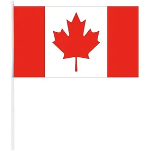 RueDeLaFete Drapeau pavillon Canada avec manche 30x40 cm pas cher