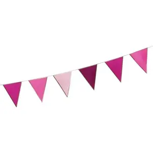 Comparateur de prix : PTIT Clown re22634 - Guirlande Fanions brillante rose